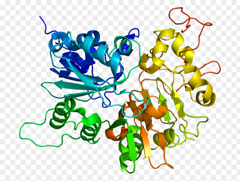 Tdp Mitochondrion Neurodegeneration Disease Reactive Oxygen Species Mitochondrial DNA PNG