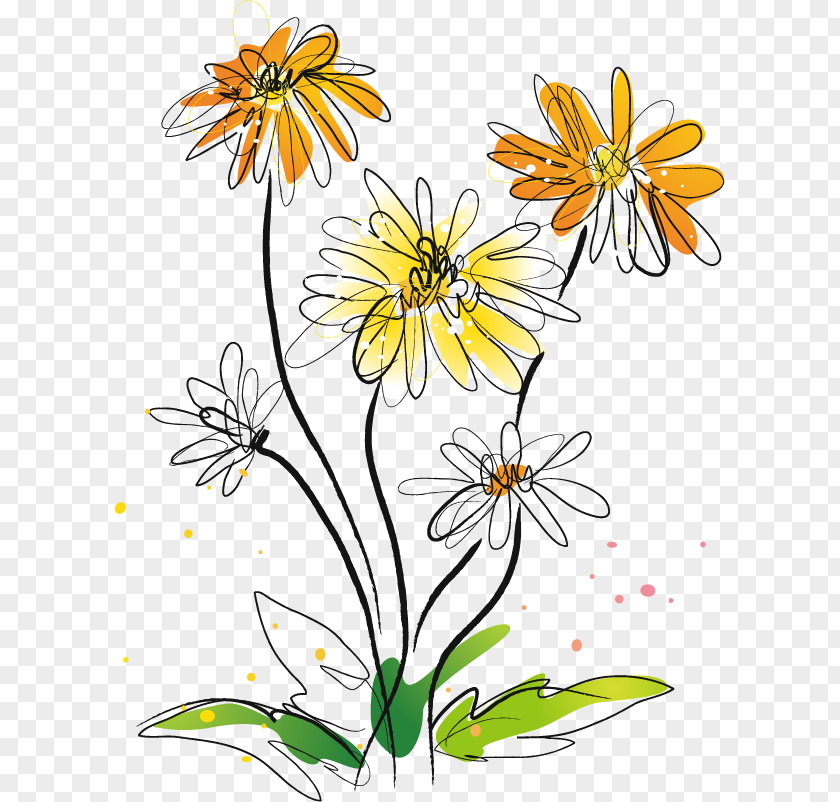 Yellow Chrysanthemum Vector Material Indicum Illustration PNG