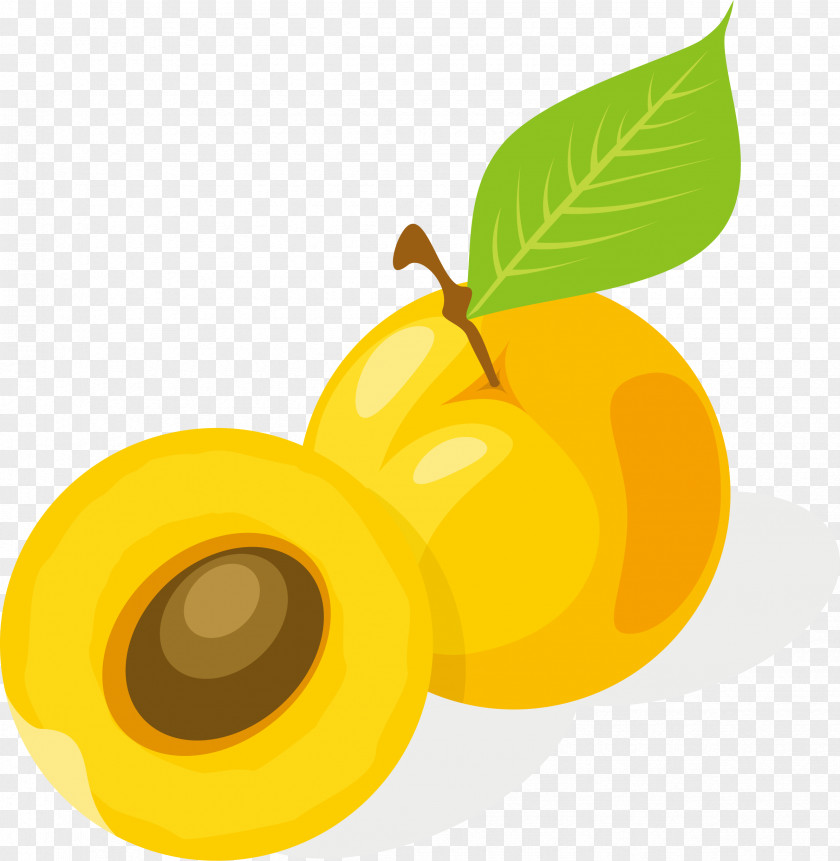 Cartoon Fruit Apricot Orange Juice Apple PNG
