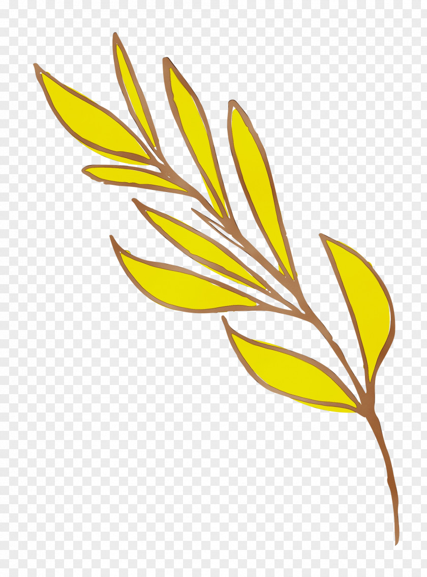 Flower Plant Stem Leaf Yellow Line PNG