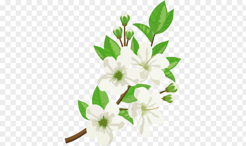 Green Leaves On The Flowers Flower Jasmine Stock Photography Illustration PNG