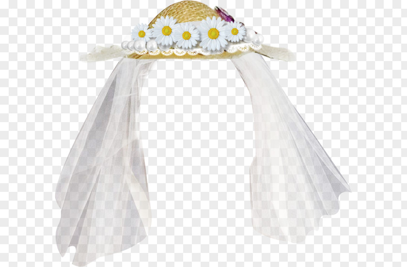 Hat Braid Engagement Wedding Dress PNG