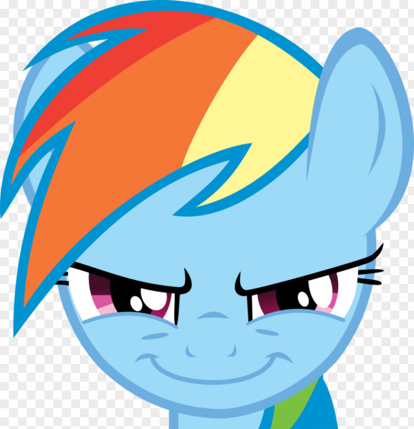 My Little Pony Rainbow Dash Pinkie Pie Twilight Sparkle Rarity PNG