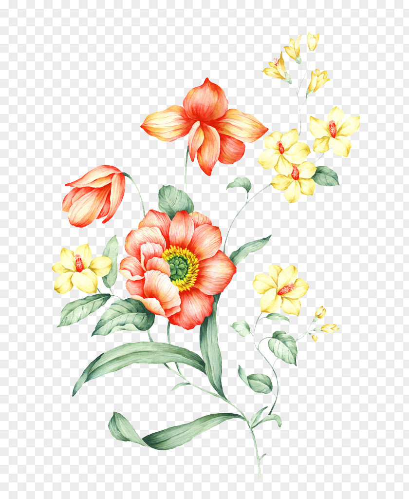 Red Flower Pattern Material Watercolor Painting Illustration PNG