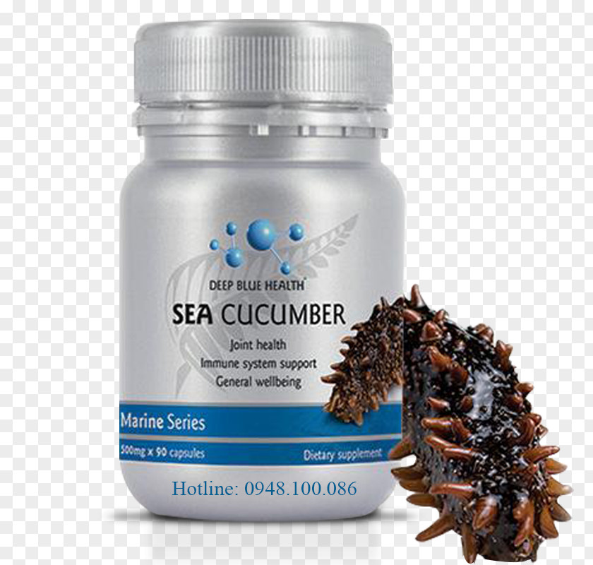 Sea Cucumber Dietary Supplement Health Capsule Cattle Milk PNG