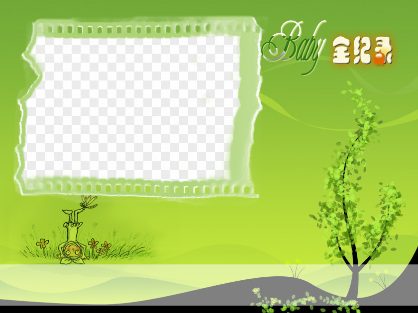 Green Background Photo Album Template Elements Photography Photograph PNG