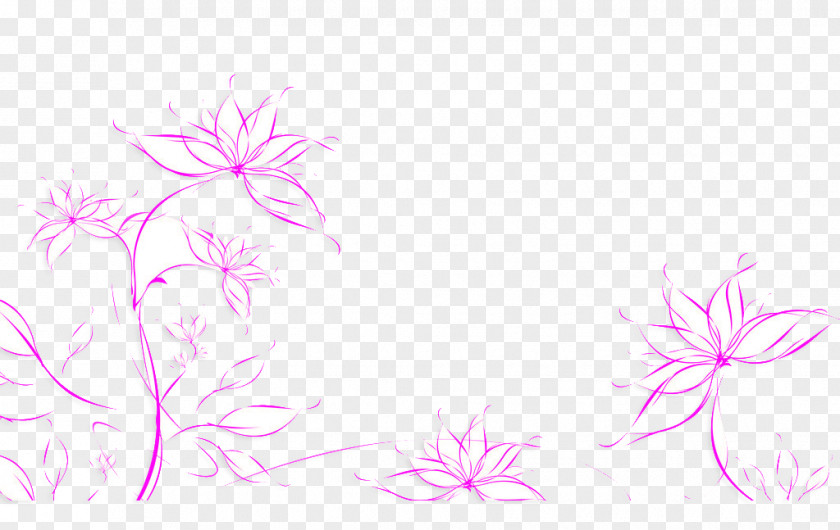 Line Flowers Drawing Avatar Wallpaper PNG