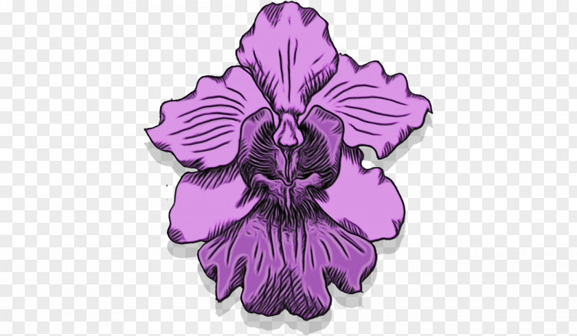 Magenta Hawaiian Hibiscus Violet Purple Flower Plant Petal PNG