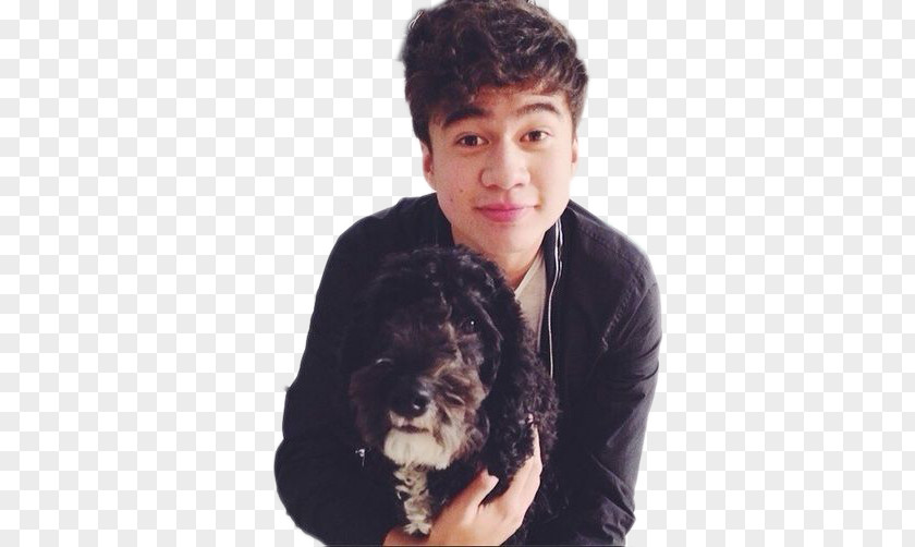 Puppy Calum Hood 5 Seconds Of Summer Sydney Dog Breed PNG