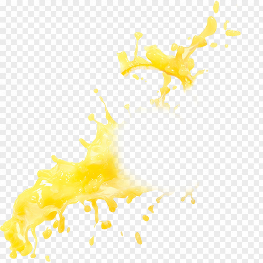 Splash Of Orange Juice Renderings PNG