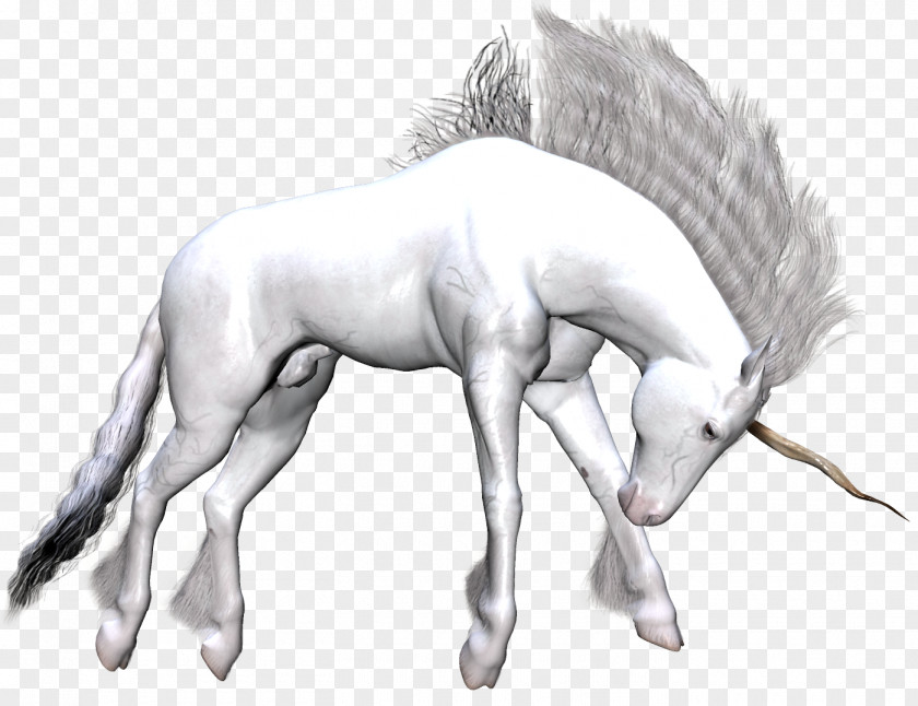Unicorn Pegasus Mustang Fantasy Clip Art PNG