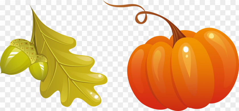 Vector Autumn Fruits Free Content Icon PNG