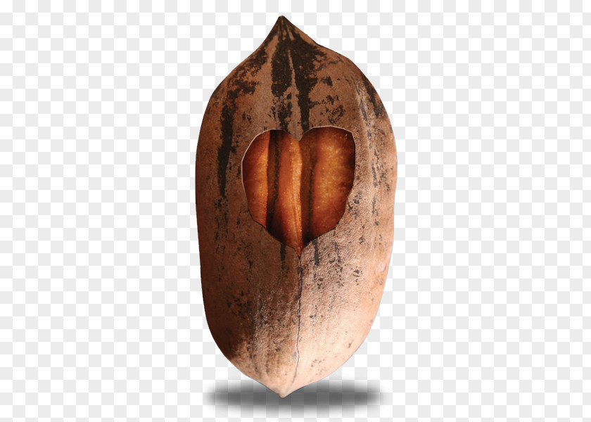 Chile Pepper Nut Pecan Logo PNG