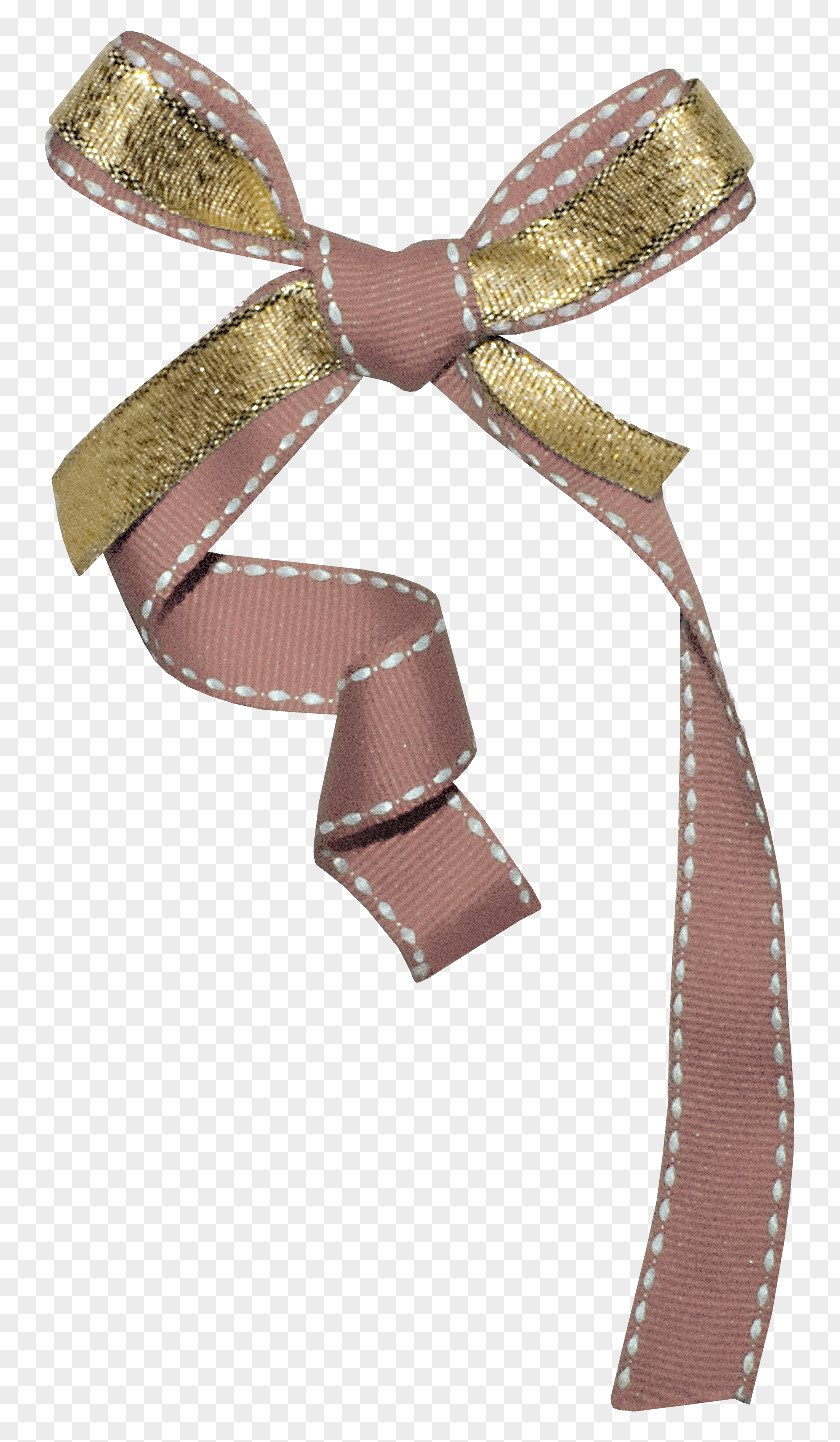 Color Bow Ribbon Shoelace Knot Vecteur PNG