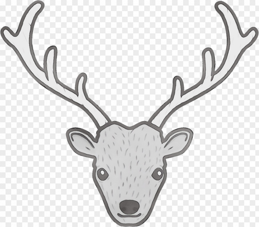 Moose Drawing Reindeer PNG