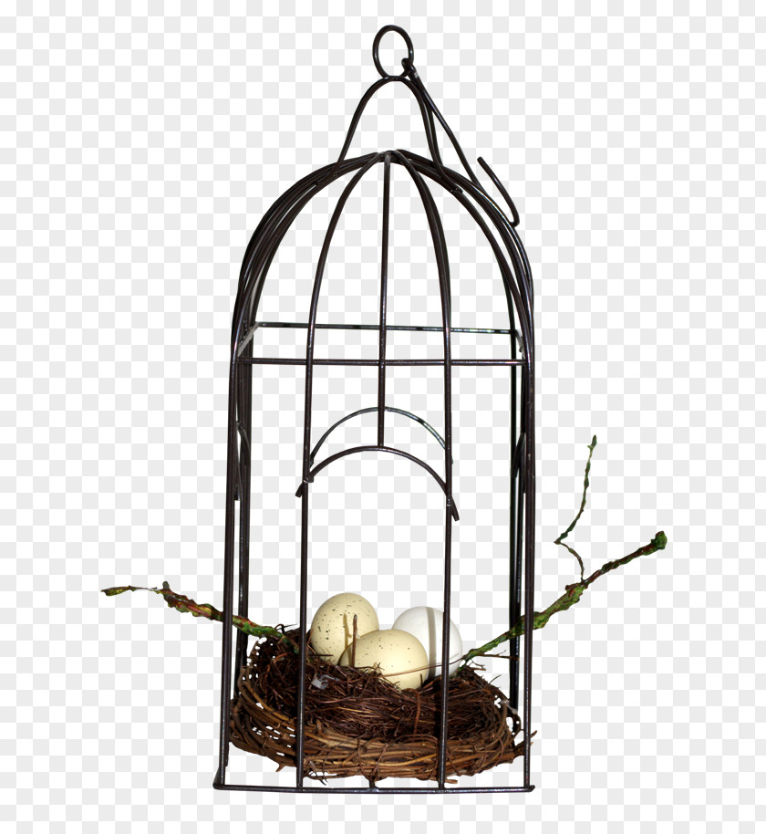 Bird Birdcage Cell PNG