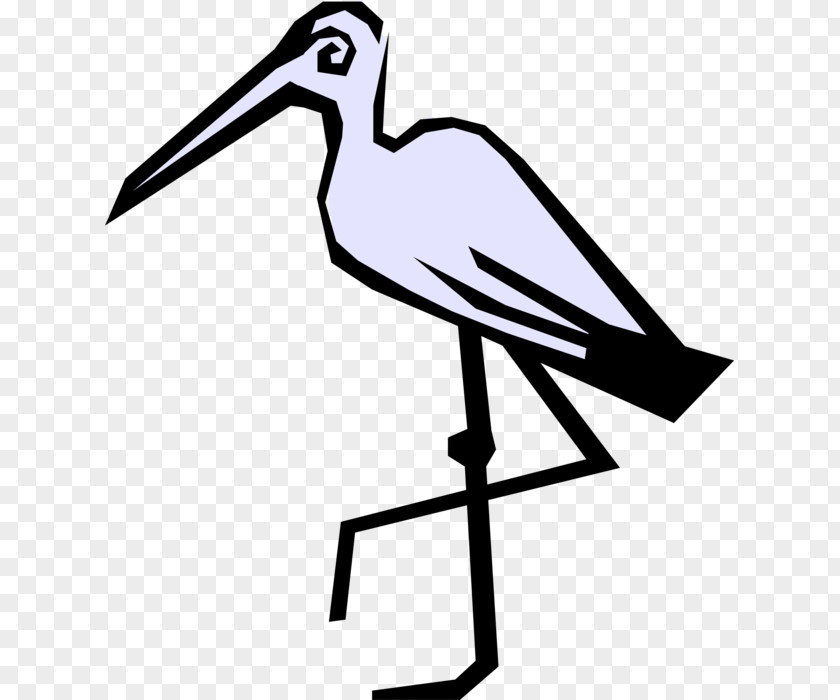 Egret Vector Clip Art Graphics Crane Stork Illustration PNG