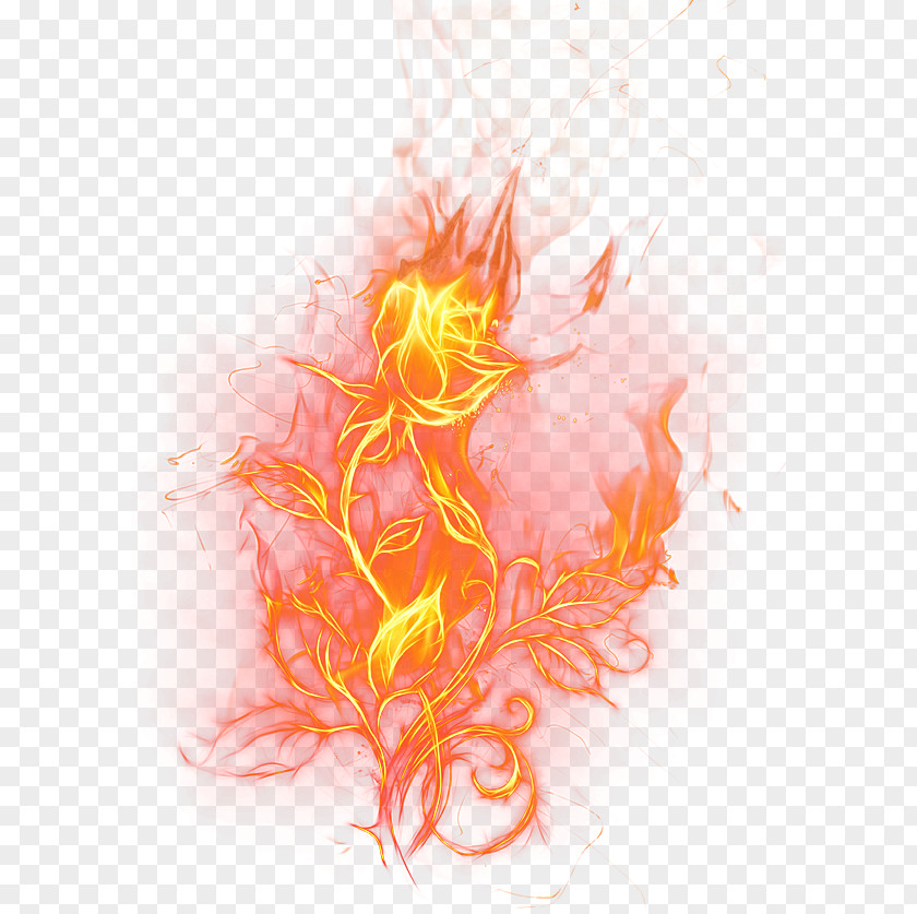Jade Flower Flame Fire Rose Clip Art PNG