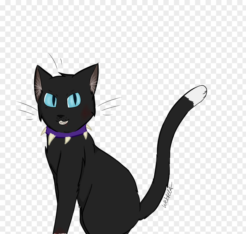 Kitten Black Cat Whiskers Domestic Short-haired PNG