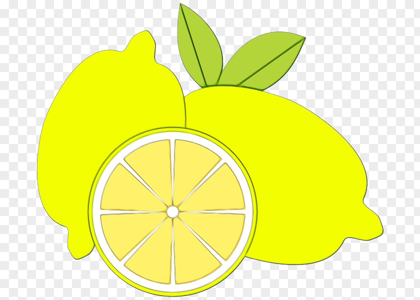 Lime Plant Citrus Lemon Yellow Fruit Leaf PNG