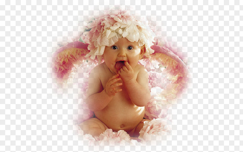 Newborn Anne Geddes Infant Photography PNG