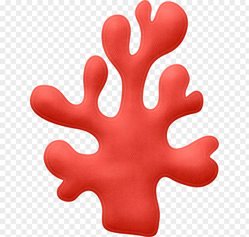 Paw Plant Red Background PNG