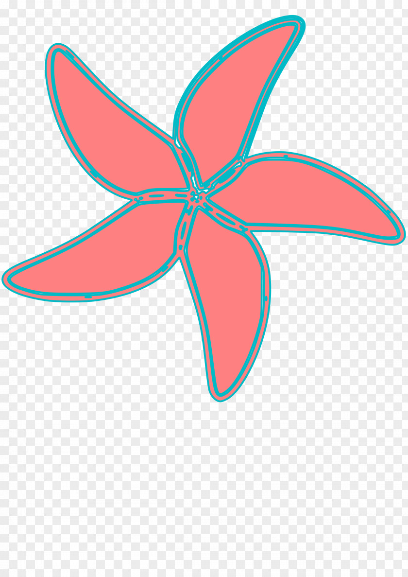 Starfish Drawing Cliparts Clip Art PNG
