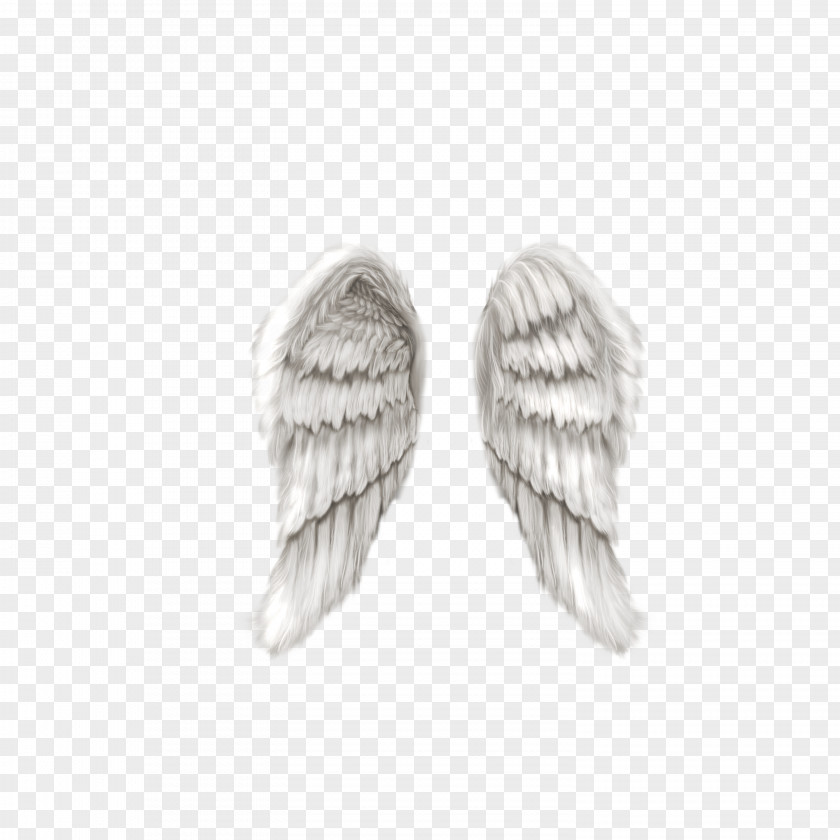 Vector Wings Angel Clip Art PNG