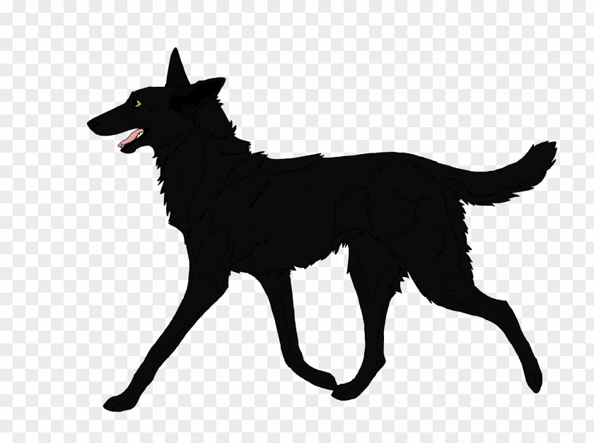 Y Karelian Bear Dog Schipperke Kunming Wolfdog Breed Canidae PNG