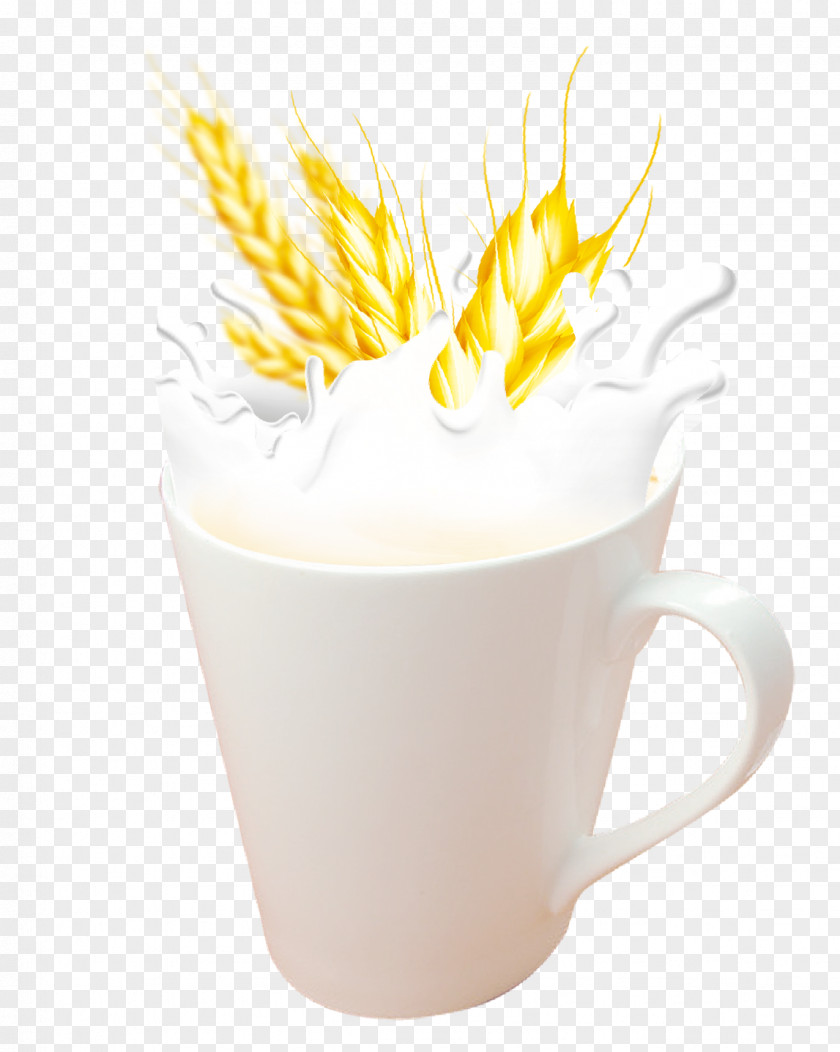 Hand-painted Vector Barley Tea Coffee Milk Breakfast PNG