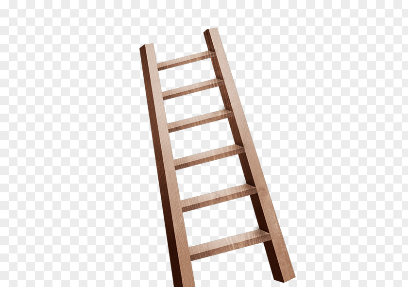 Ladder Wall Bars Icon PNG