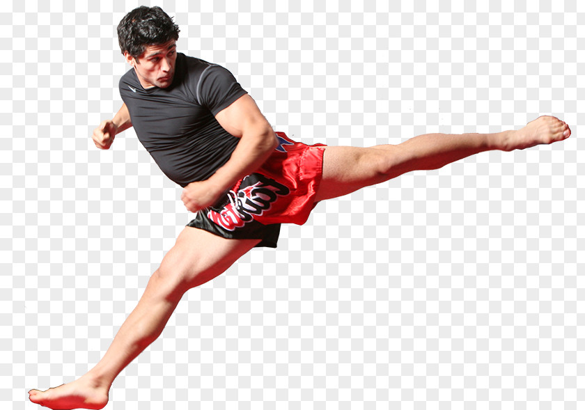Mixed Martial Artist Arts Muay Thai Kickboxing Taekwondo Brazilian Jiu-jitsu PNG