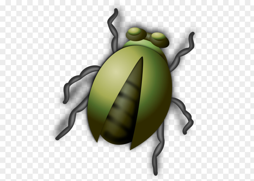 Bug Insect Clip Art PNG