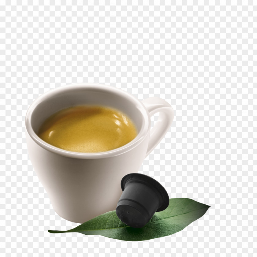 Coffee Hōjicha Cup Espresso Mate Cocido PNG