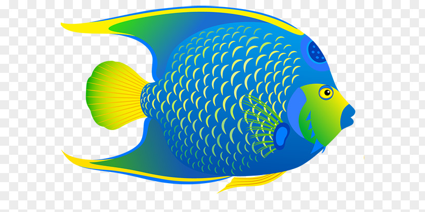 Discus Fish Wallpaper Angelfish Tropical Aquarium Clip Art PNG