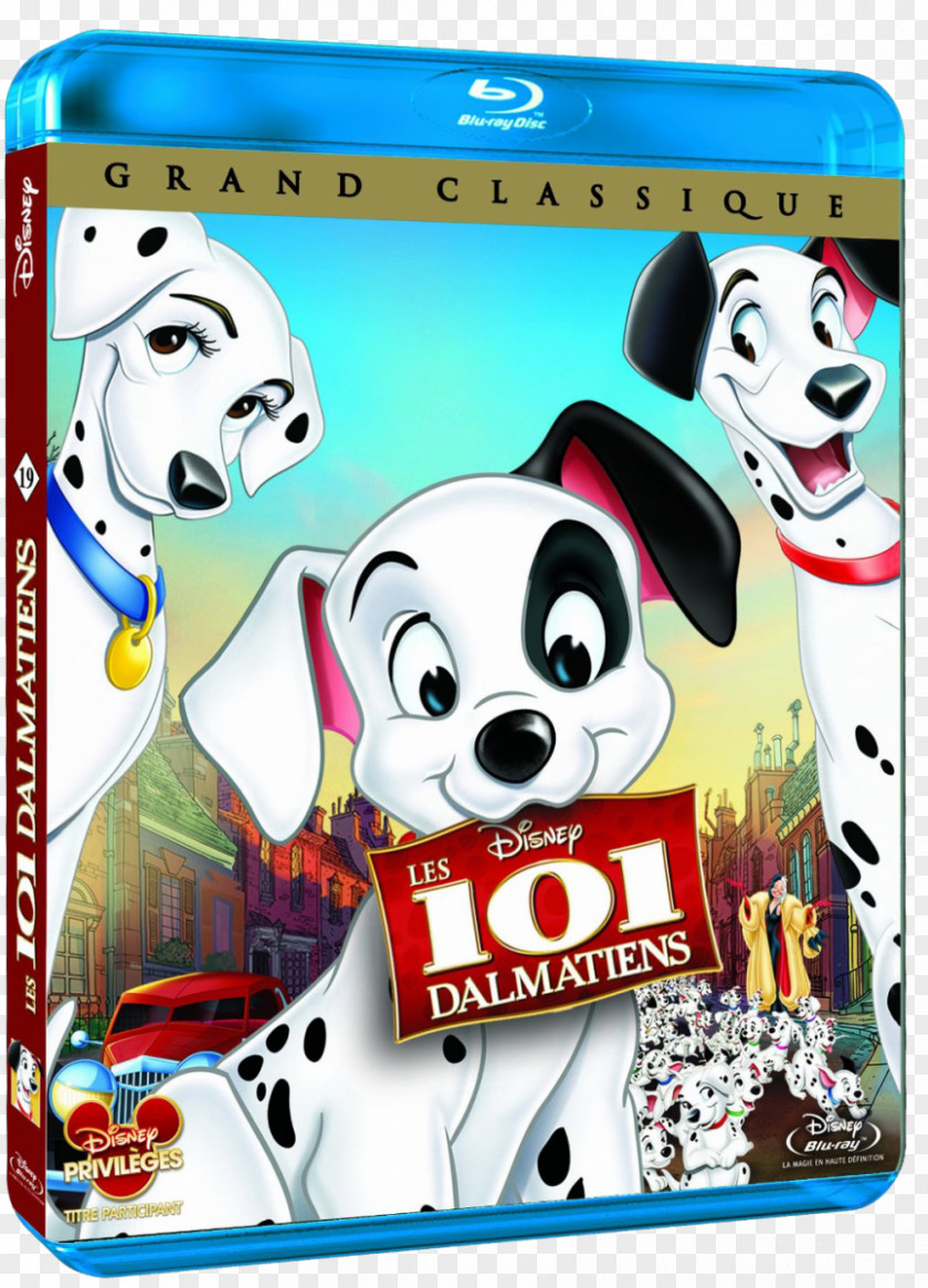 Dvd Dalmatian Dog Blu-ray Disc DVD Univers Disney Non-sporting Group PNG