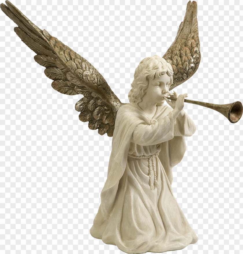 Angel God Parable Of The Tares Love Icon PNG