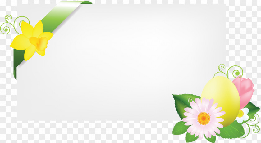 Camomile Easter PNG