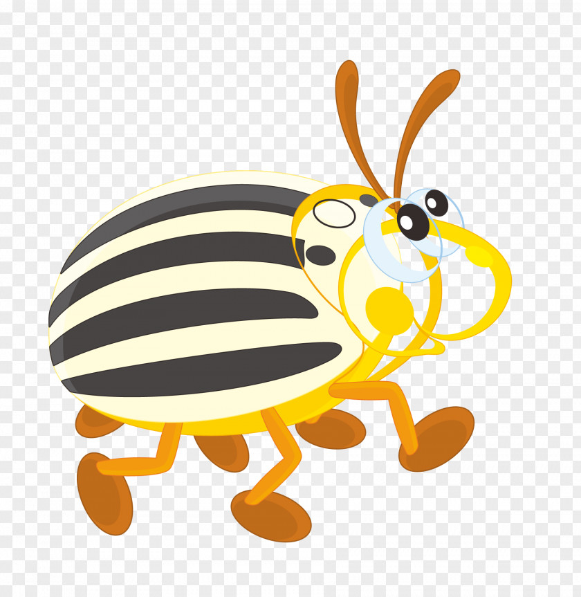 Cartoon Insects Colorado Potato Beetle Clip Art PNG
