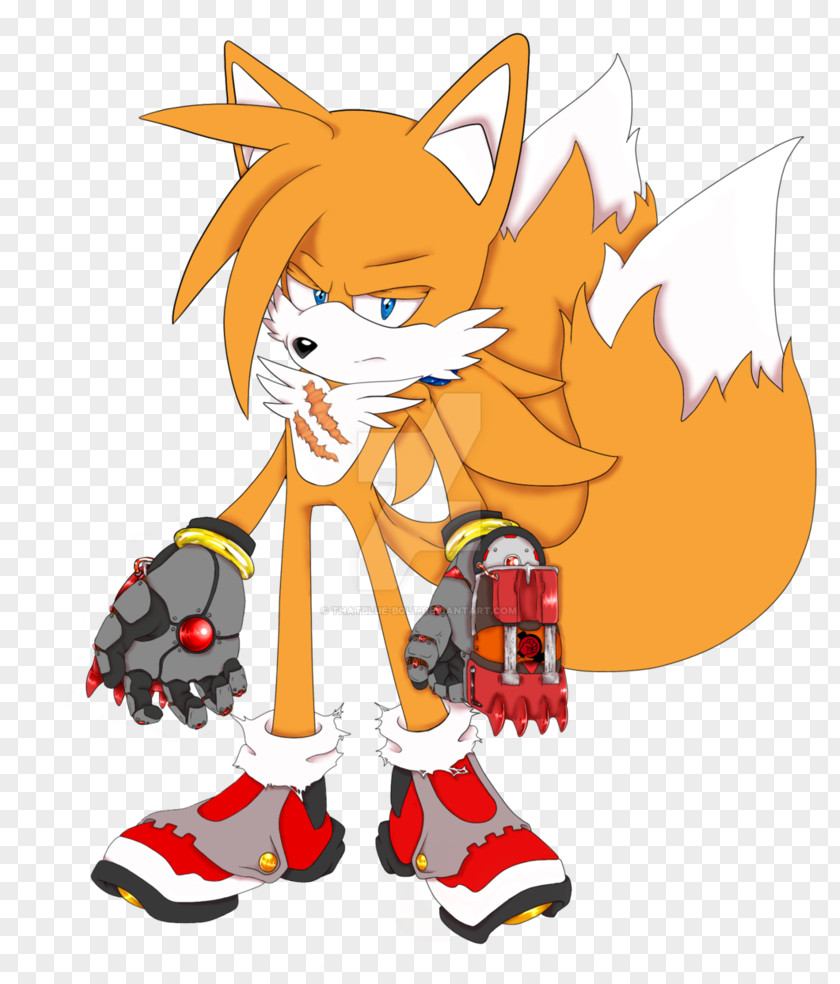 Cat Tails Sonic Chaos Free Riders Boom: Shattered Crystal PNG