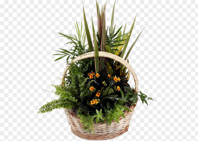 Dish Garden Floral Design Plants Cut Flowers Flowerpot PNG