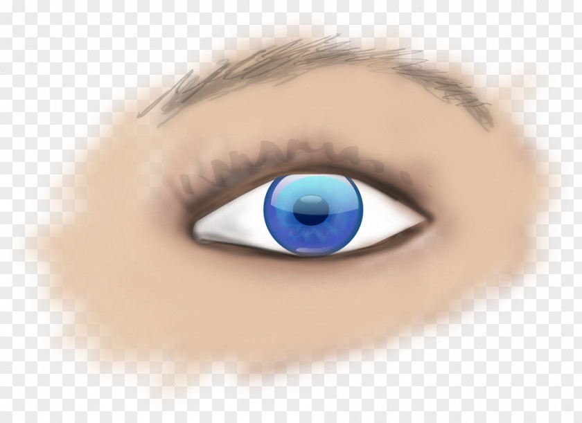 Eye Human Clip Art PNG