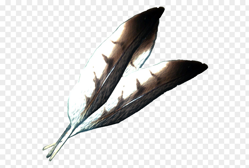 Feather The Elder Scrolls V: Skyrim – Dragonborn Wikia Potion PNG