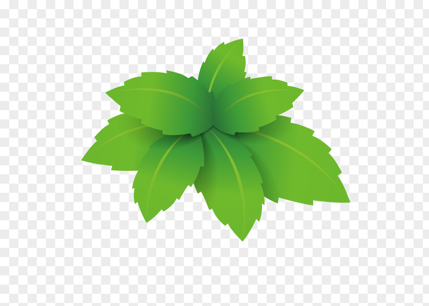 Green Grass Google Images Microchloa PNG