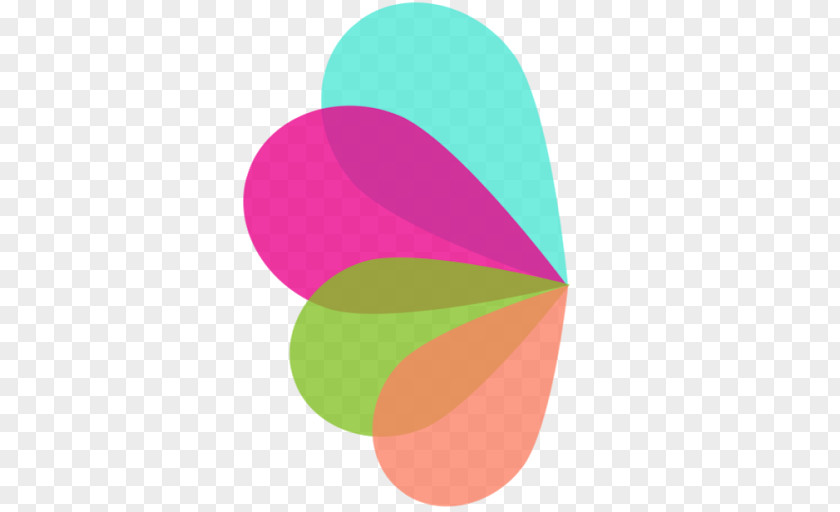Logo Font Product Design Leaf PNG