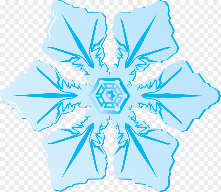 Snowflakes Photography Clip Art PNG