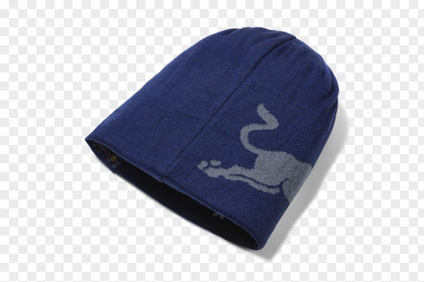 Beanie PNG