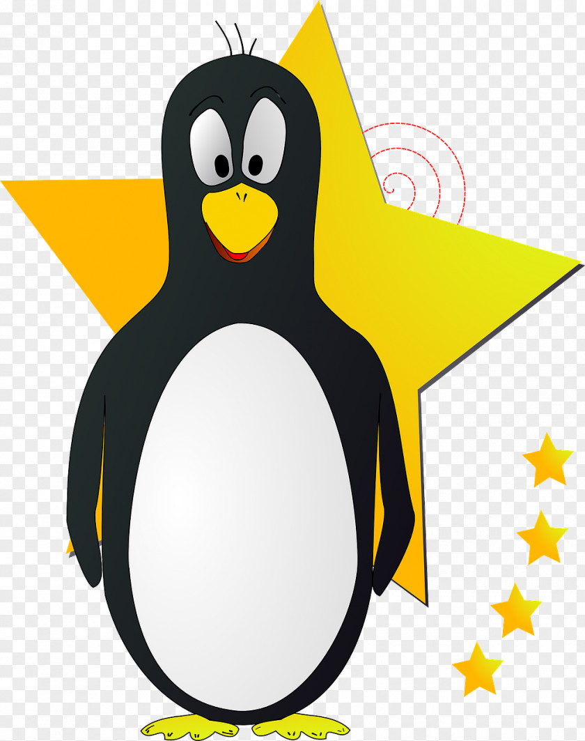 Cartoon Penguin Bird Clip Art PNG