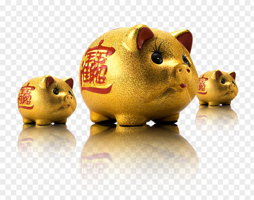 Enterprise Golden Pig Money Pot The Hongkong And Shanghai Banking Corporation Credit Card Financial Services Finance PNG
