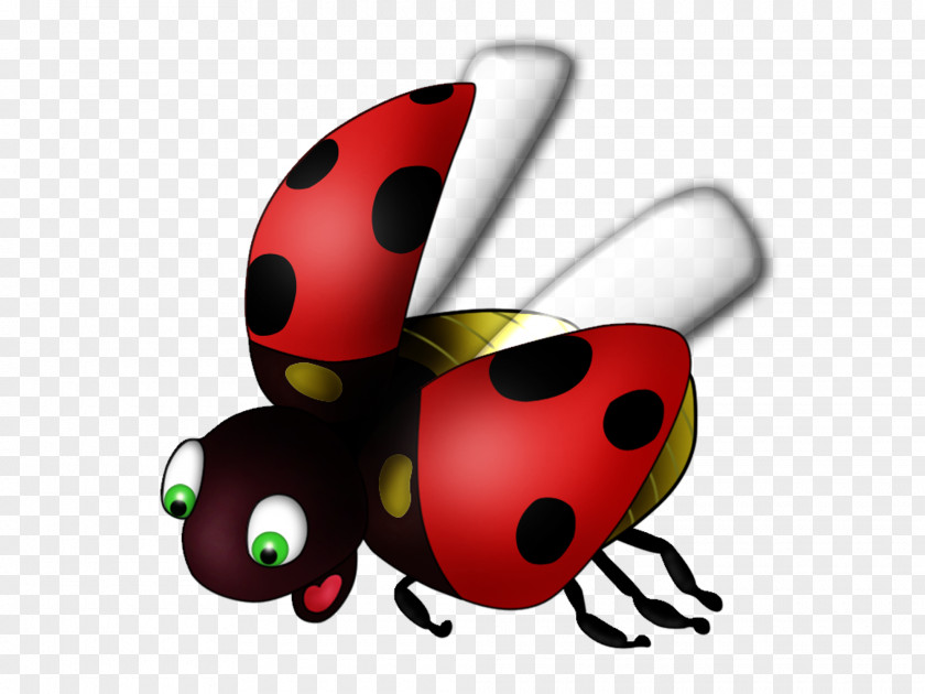 Flies Ladybird Blog Beetle Diary Clip Art PNG